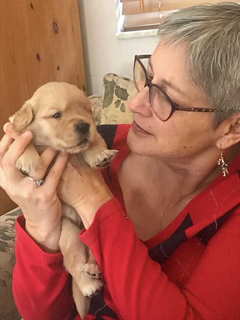 caribbean golden retrievers monica and puppy