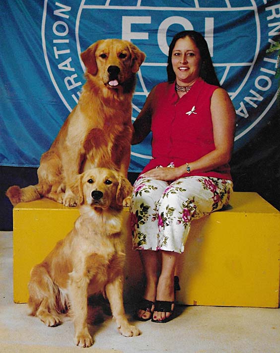 caribbean golden retrievers in puerto rico