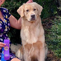 Prism's Caribbean Girl Power, bowen offspring