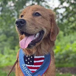 Prism's Caribbean Girl Power, bowen offspring