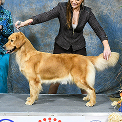 Prism's Caribbean Girl Power, bowen