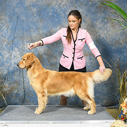 Prism's Caribbean Girl Power, bowen