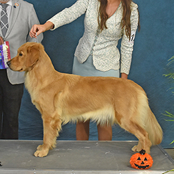 Prism's Caribbean Girl Power, bowen