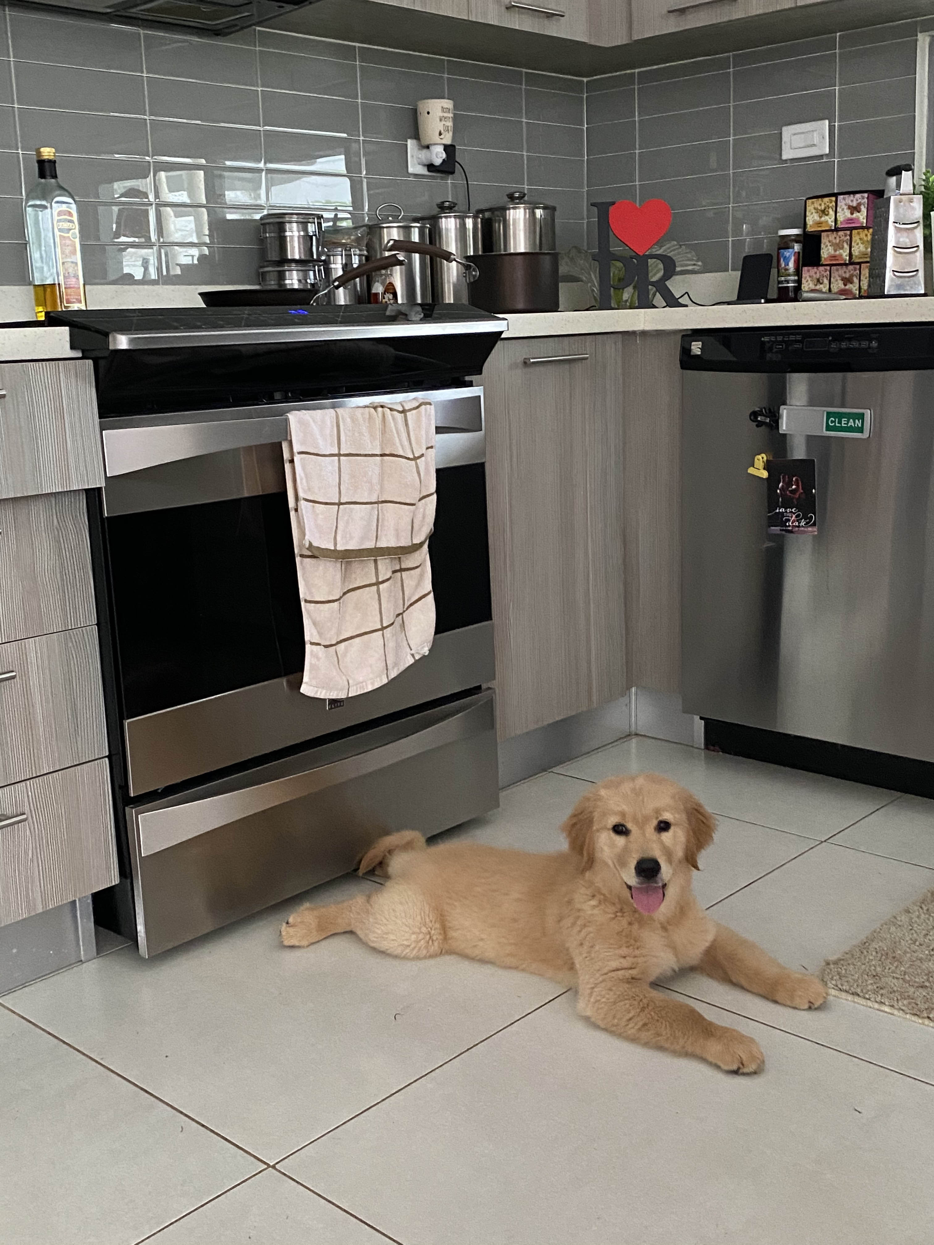 Prism's Caribbean Girl Power, bowen