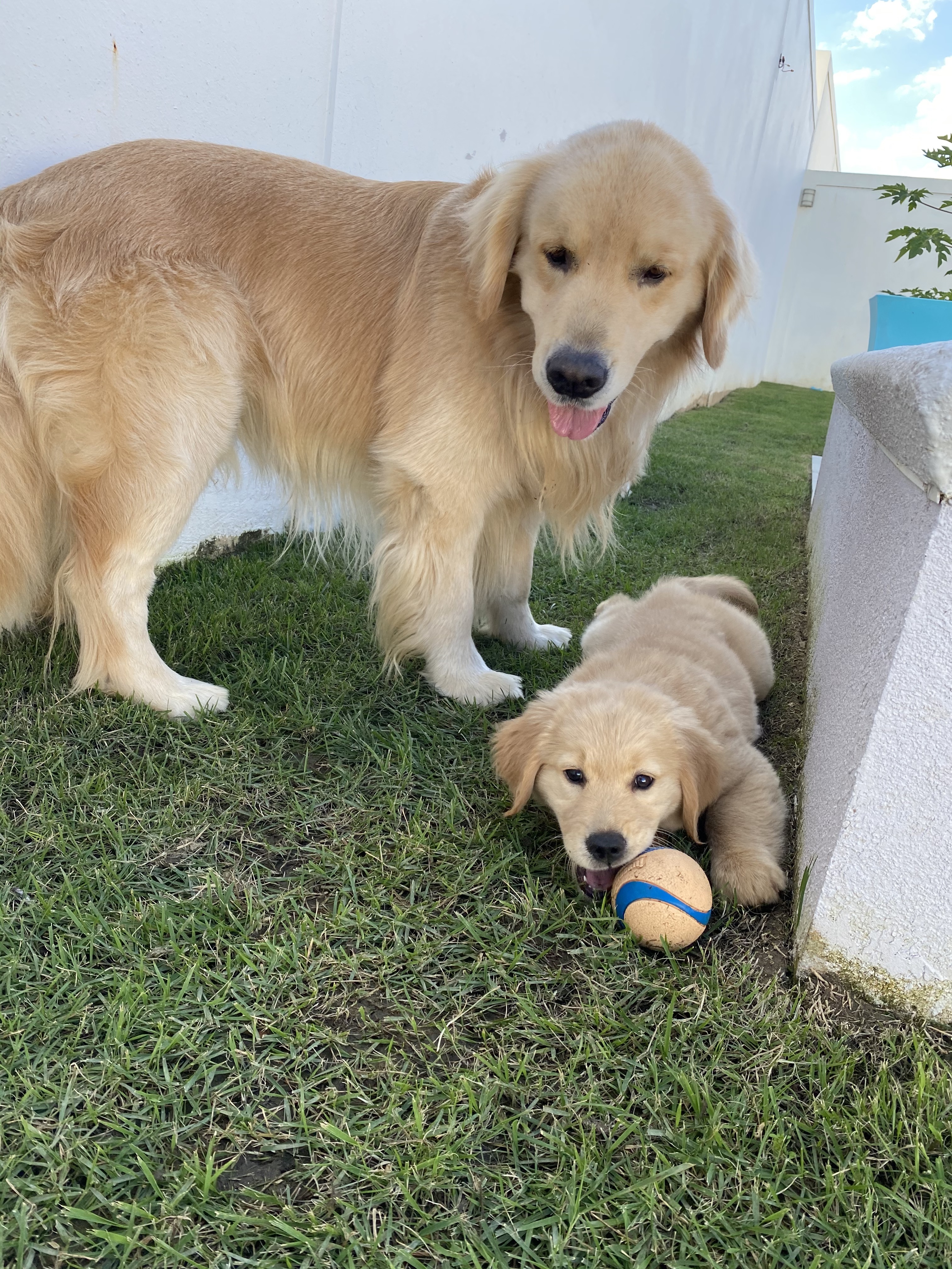 Prism's Caribbean Girl Power, bowen