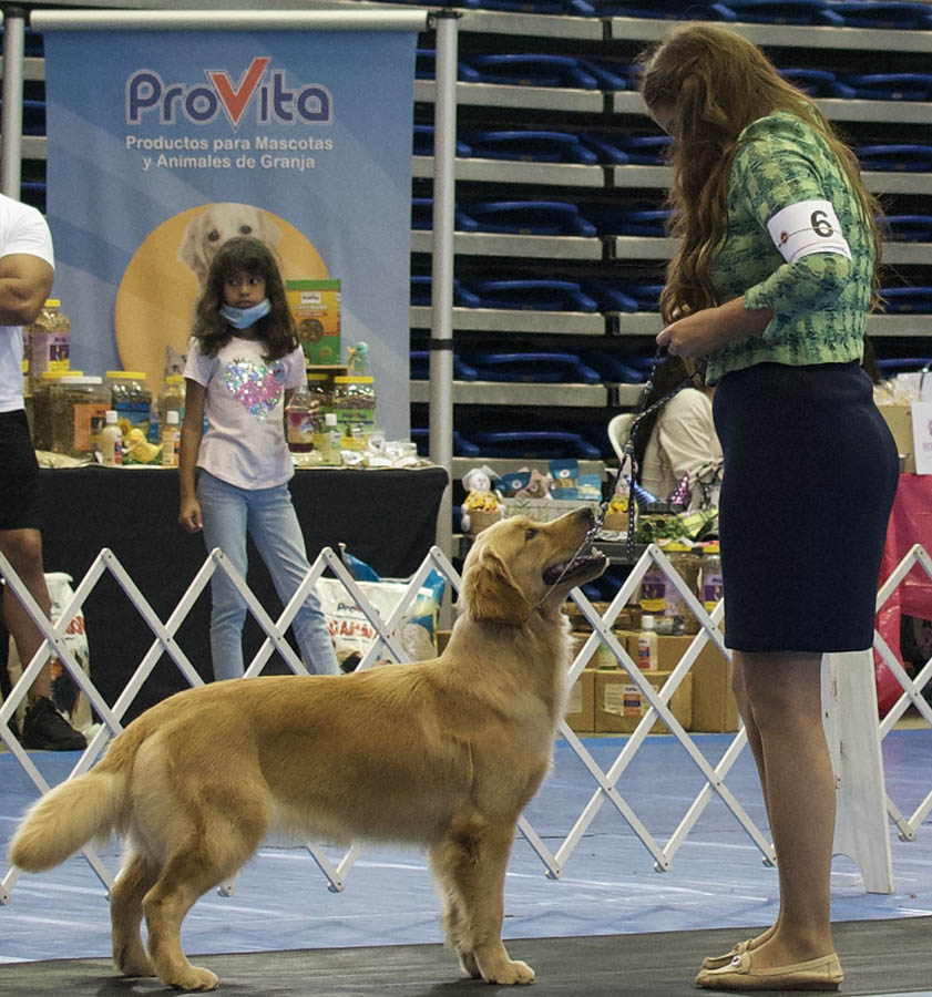 Prism's Caribbean Girl Power, bowen