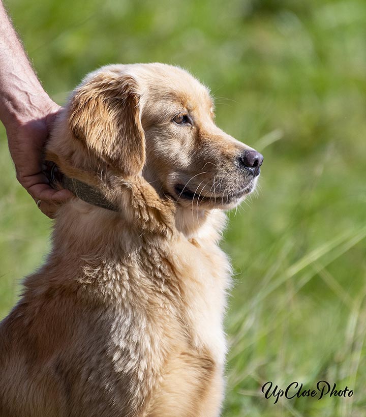 Prism's Caribbean Girl Power, bowen