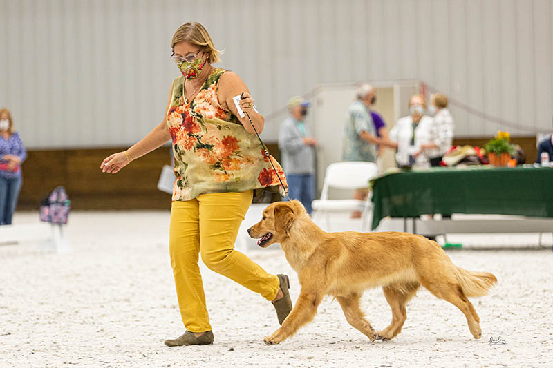 Prism's Caribbean Girl Power, bowen