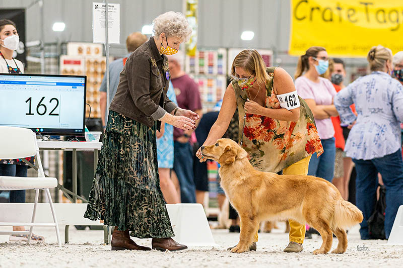 Prism's Caribbean Girl Power, bowen
