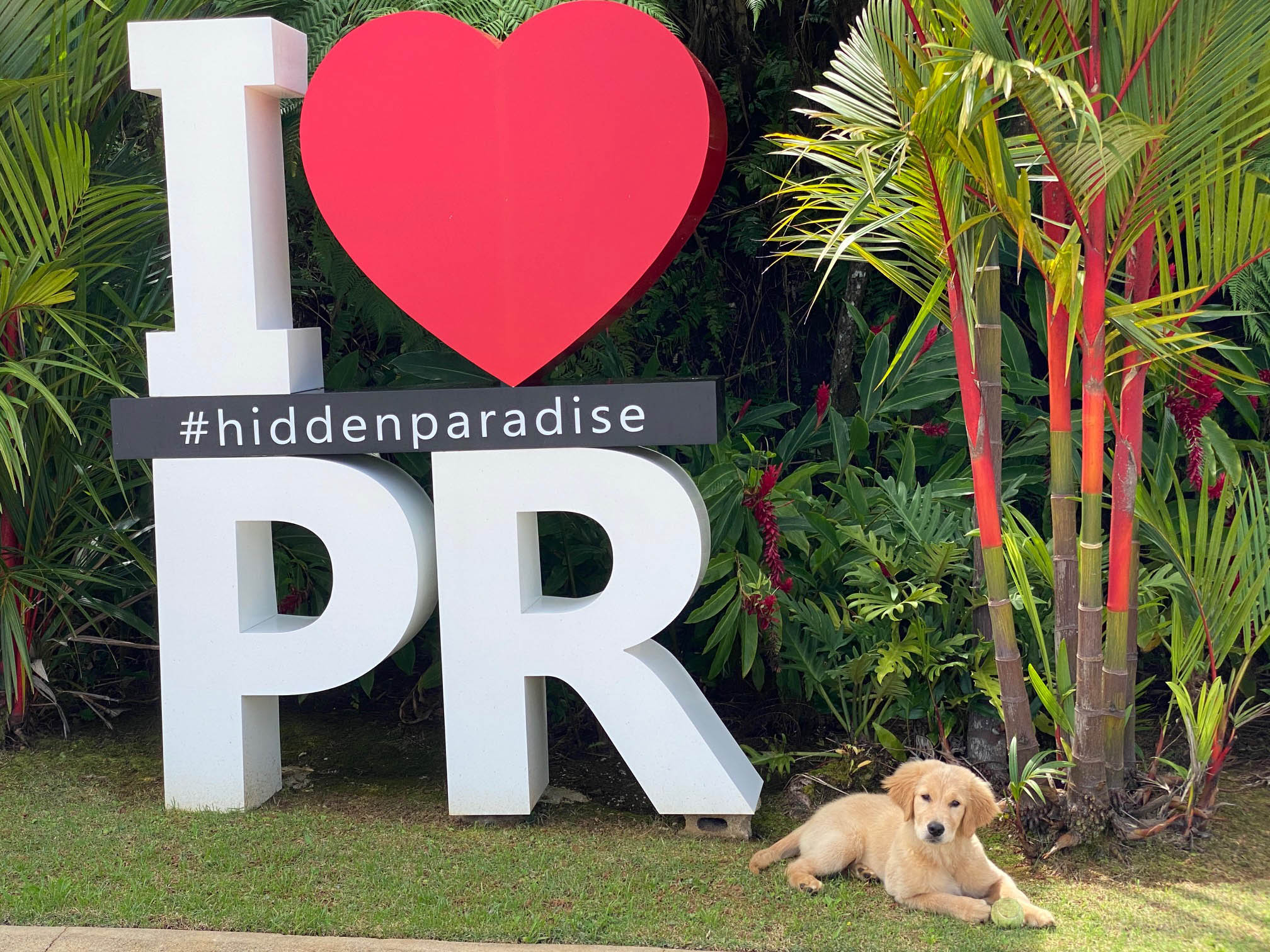 Prism's Caribbean Girl Power, bowen