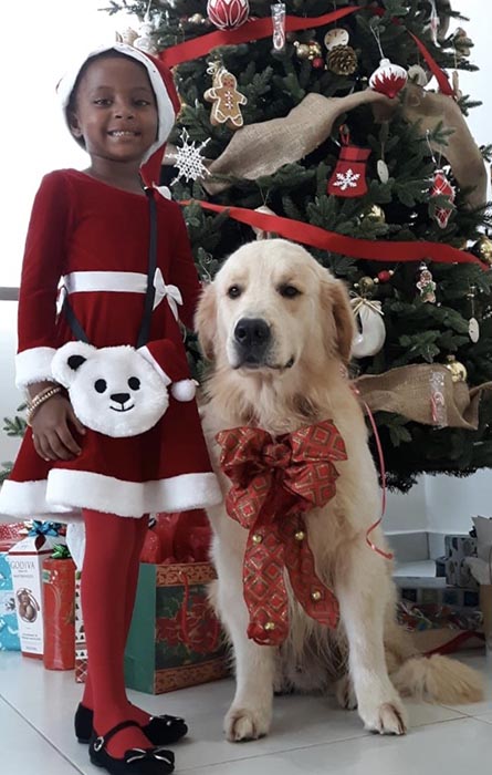 caribbean golden retrievers in puerto rico