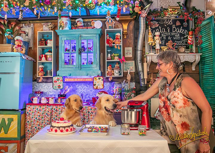 caribbean golden retrievers in puerto rico