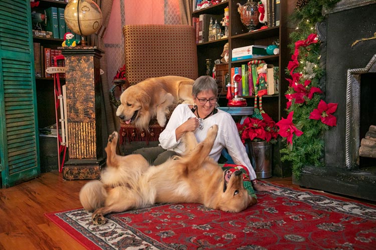 caribbean golden retrievers in puerto rico