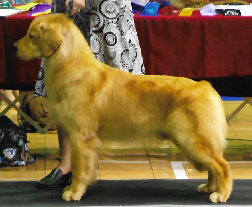 Caribbeans Last Treasure milo