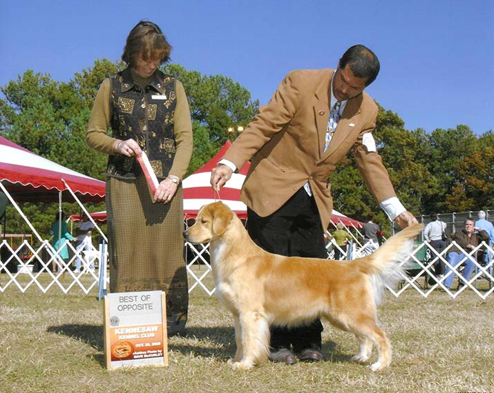 CH Foxfire Master's Winner Takes All canela