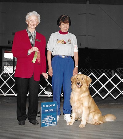 Sandcastles Carribeanwind CD, homeboy, caribbean golden retrievers