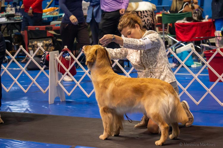 Prism's Caribbean Leap into the Waves CD, splash 