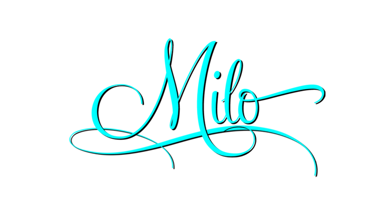 PR CH Caribbeans Last Treasure, milo, caribbean golden retrievers in puerto rico