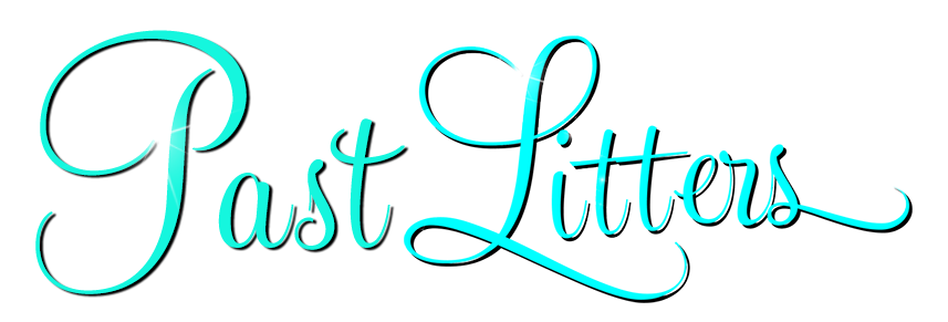 past litters at caribbean goldens